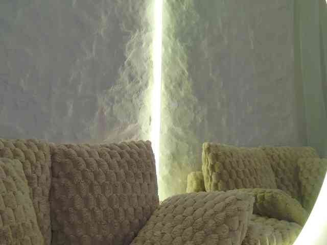 Moniqque webcam