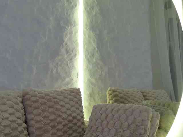 Moniqque webcam