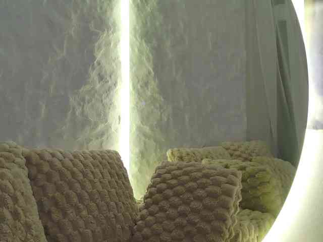 Moniqque webcam