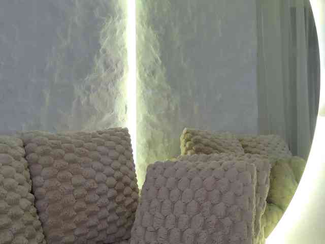 Moniqque webcam