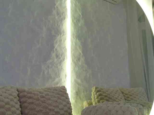 Moniqque webcam