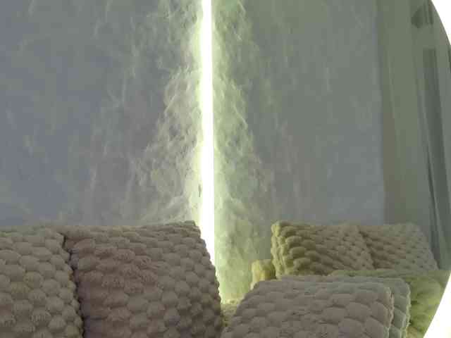 Moniqque webcam