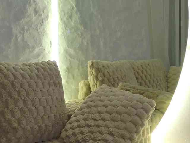 Moniqque webcam