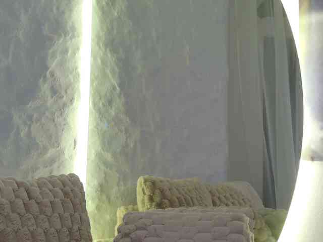 Moniqque webcam