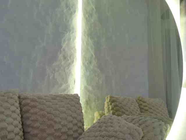 Moniqque webcam