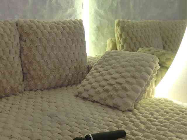 Moniqque webcam
