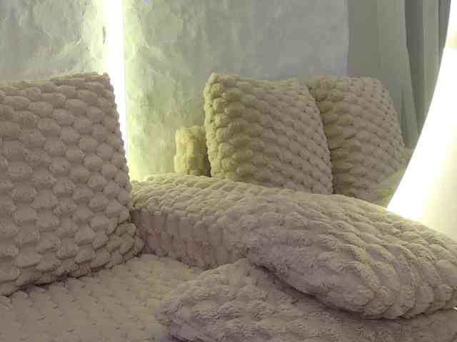 Moniqque webcam