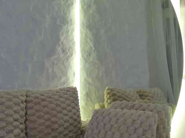Moniqque webcam