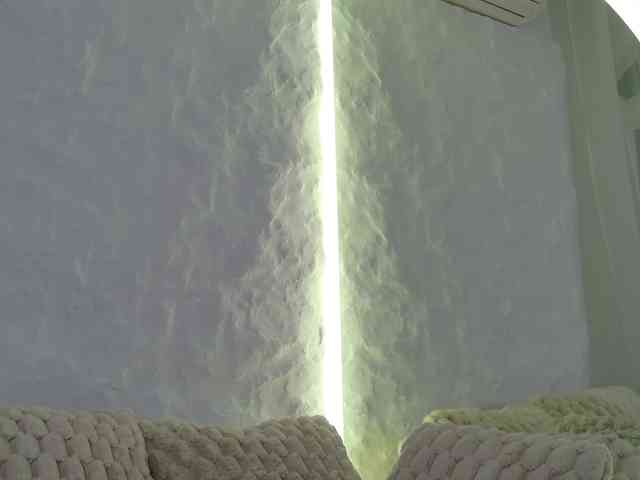Moniqque webcam