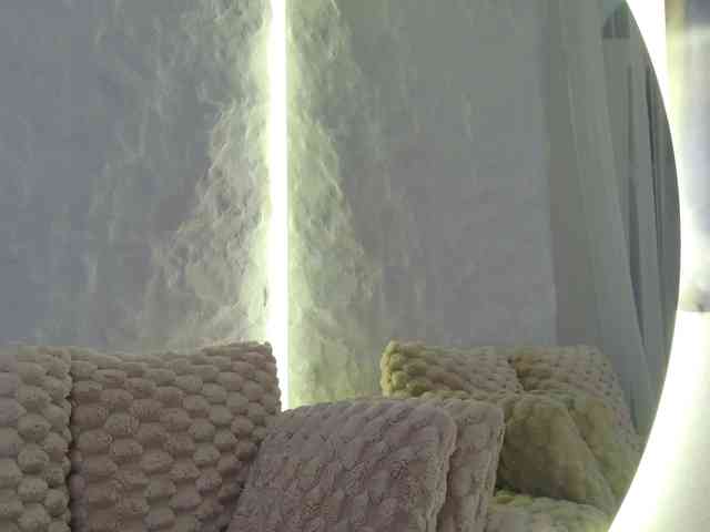 Moniqque webcam