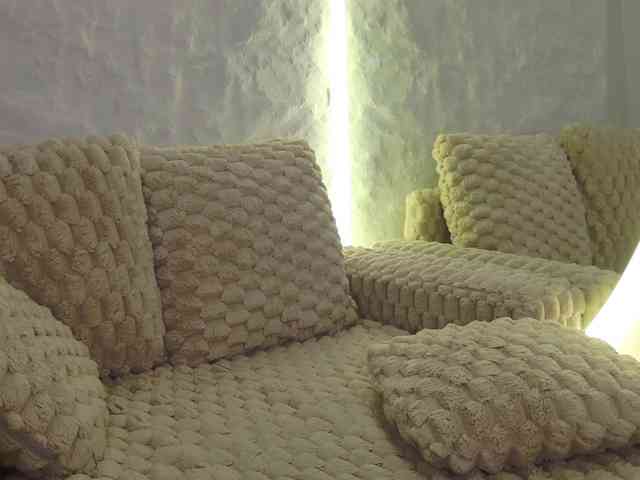 Moniqque webcam