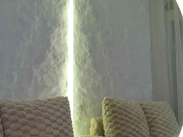 Moniqque webcam