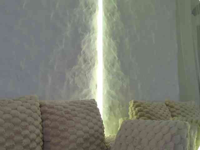 Moniqque webcam