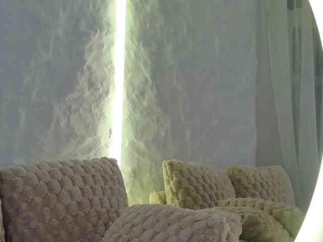 Moniqque webcam