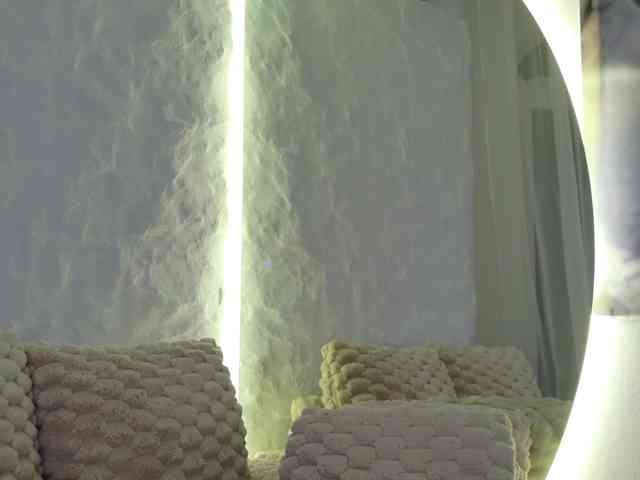 Moniqque webcam