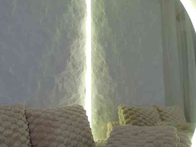 Moniqque webcam
