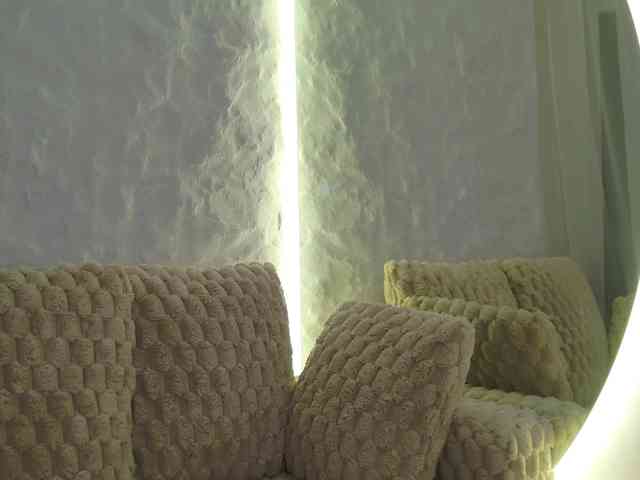 Moniqque webcam