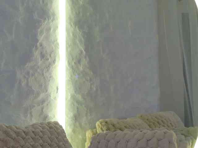 Moniqque webcam