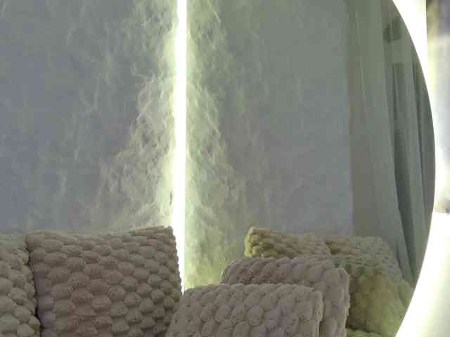 Moniqque webcam