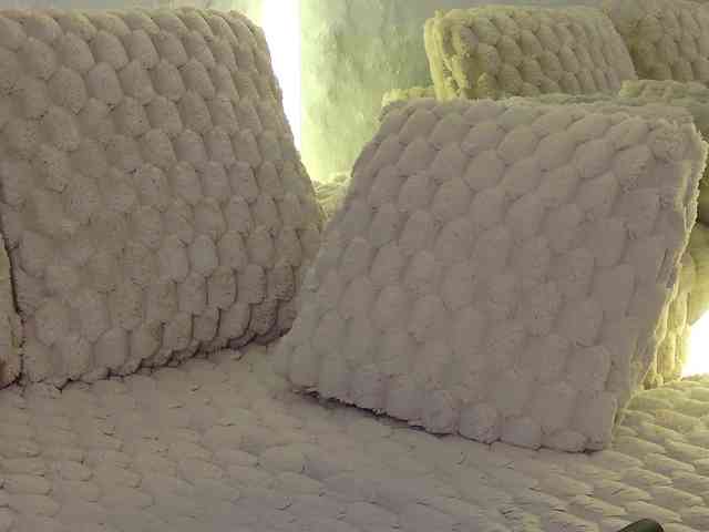 Moniqque webcam
