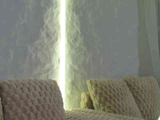 Moniqque webcam