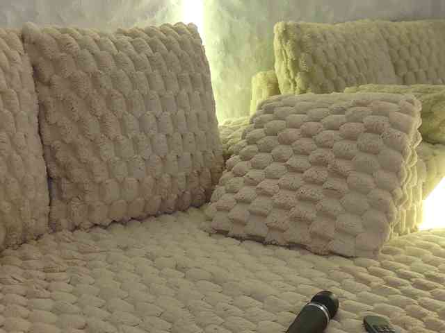 Moniqque webcam