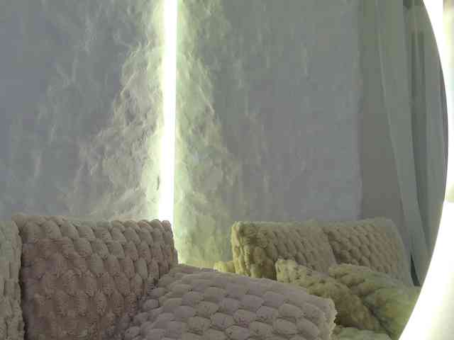 Moniqque webcam