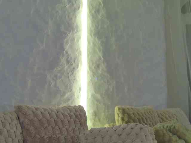 Moniqque webcam