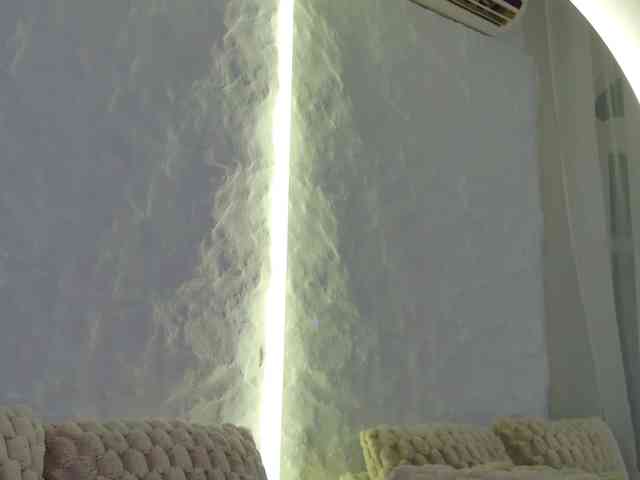 Moniqque webcam