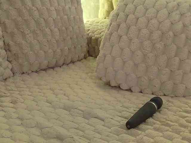Moniqque webcam