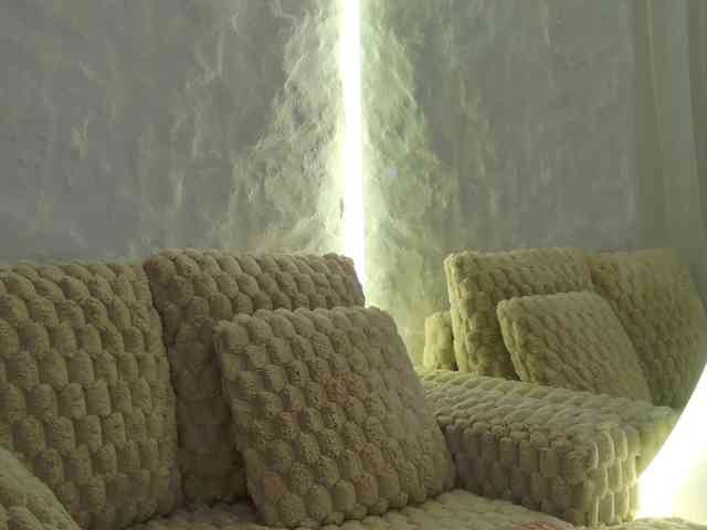 Moniqque webcam