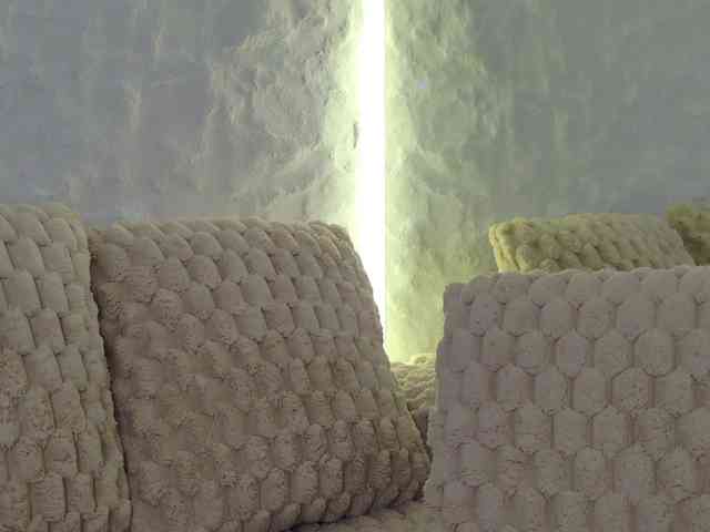 Moniqque webcam