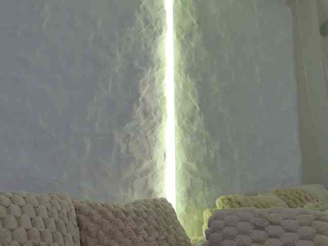 Moniqque webcam