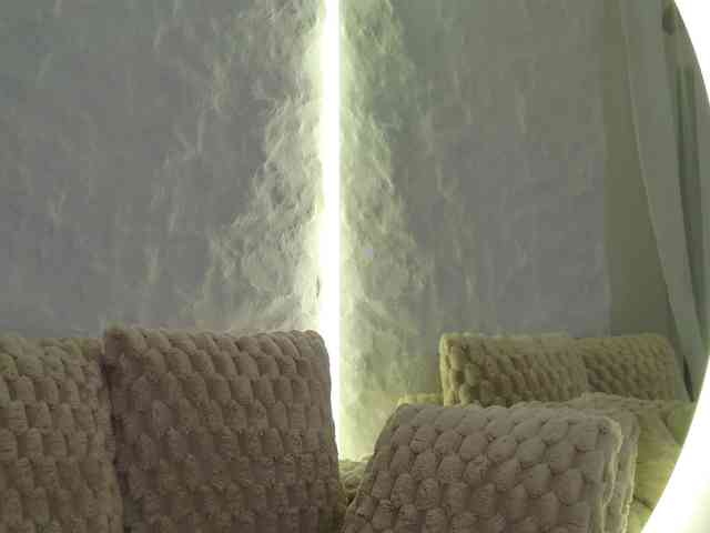 Moniqque webcam