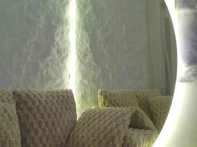 Moniqque webcam