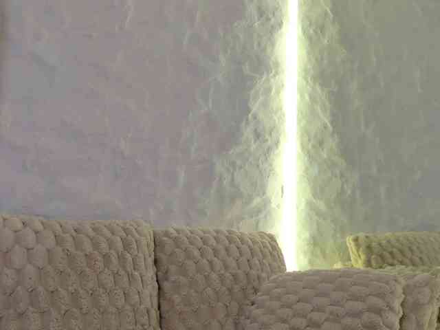 Moniqque webcam