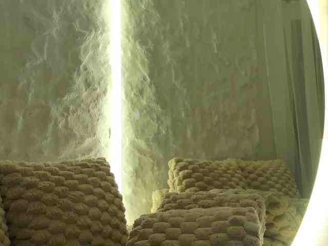 Moniqque webcam