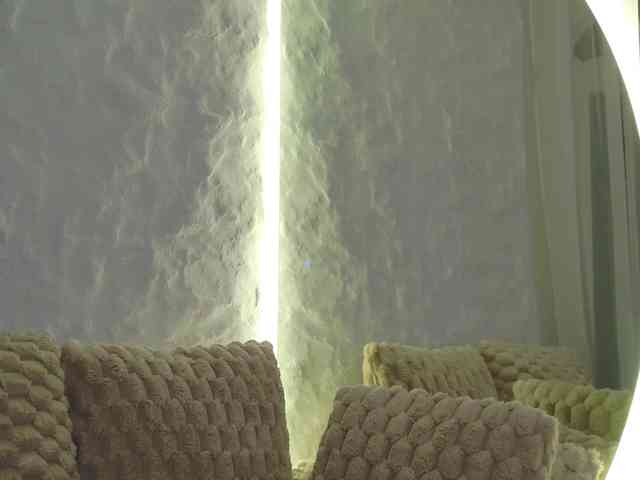 Moniqque webcam