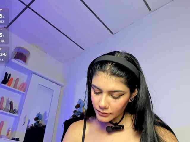 Lisvandre webcam