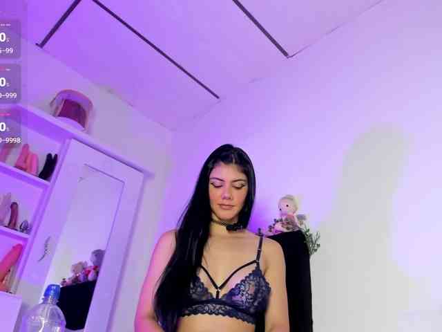 Lisvandre webcam