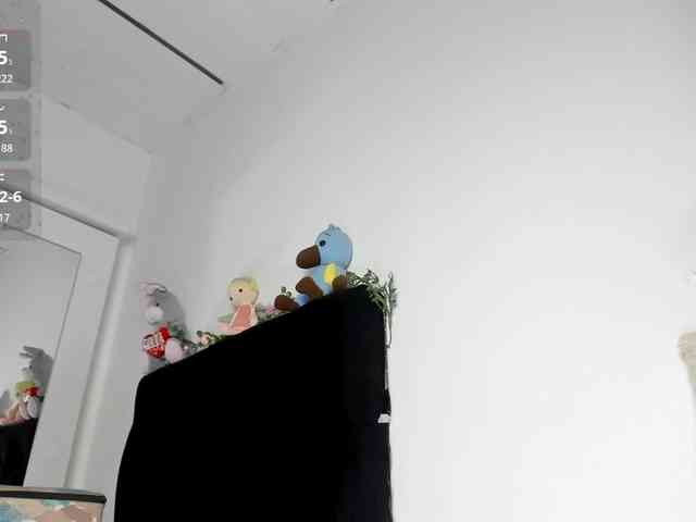 Lisvandre webcam
