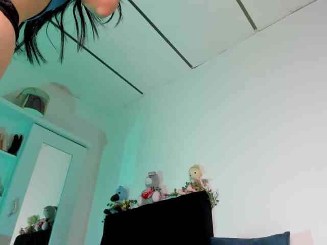 Lisvandre webcam