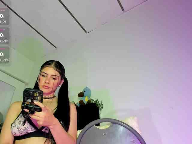 Lisvandre webcam