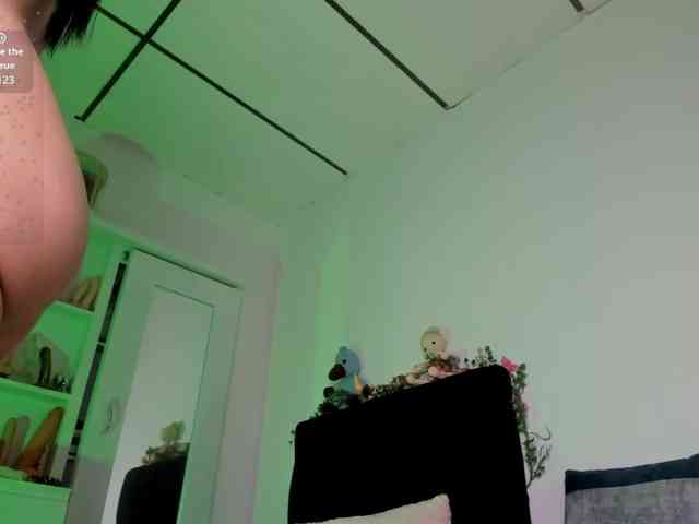 Lisvandre webcam