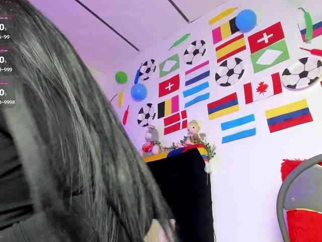 Lisvandre webcam