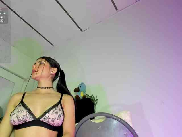 Lisvandre webcam