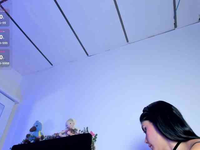 Lisvandre webcam