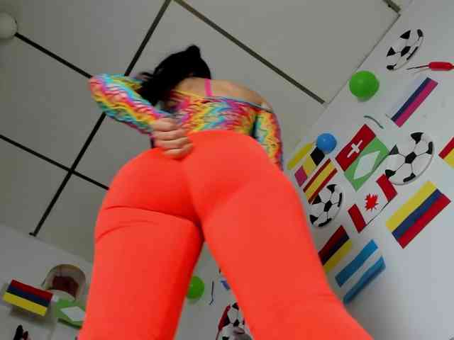 Lisvandre webcam