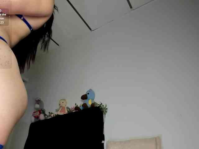 Lisvandre webcam