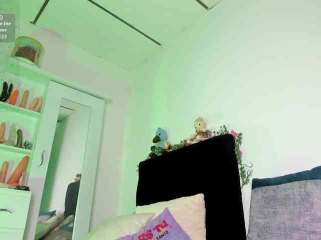 Lisvandre webcam